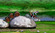 Trial-online-game