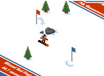Silg-slalom
