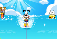 Waterskien-spel-met-een-hond