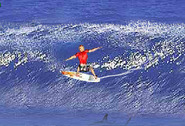 Joaca-surf-cu-rechini
